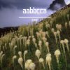 Download track Aabbcca