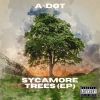 Download track Sycamore Trees