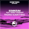 Download track Finding Somn'thing (Radio Edit)