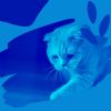 Download track Modish Backdrops For Home Cats