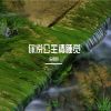 Download track 上面是鲨下面是鸡