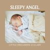 Download track Instrumental Lullabies