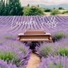 Download track Lavender Fields Dream