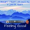 Download track Feeling Good (Radio Edit)