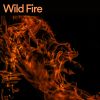 Download track Smoke Fire