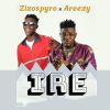 Download track Ire