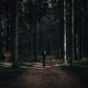 Download track In The Depths Of The Forest