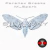 Download track Silk Way (Geon Remix)