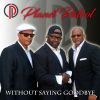 Download track Without Saying Goodbye (Radio Edit)