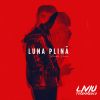 Download track Lună Plină (Manda Remix)