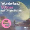 Download track Wonderland (Original Club Mix)