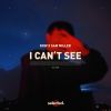 Download track I Can't See