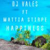 Download track Happiness (Radio Edit)