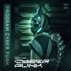 Download track Program Cyber Punk