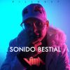 Download track Sonido Bestial