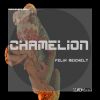 Download track Chamelion