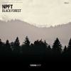 Download track Black Forest (Extended Mix)