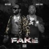 Download track FAKE