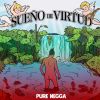 Download track Sueño De Virtud