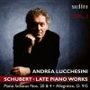 Download track Piano Sonata No. 20 In A Major, D. 959: II. Andantino