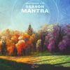 Download track Spring Season Mantra Plataformas