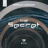 Download track The Secret (Original Mix)