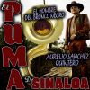 Download track El Hombre Del Bronco Negro