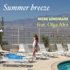 Download track Summer Breeze