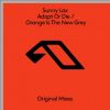 Download track Orange Is The New Grey (Extended Mix)