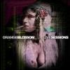 Download track Ya Sîdi (Blossom Live Sessions)