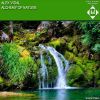 Download track Alchemy Of Nature (Original Mix)