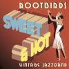 Download track Rootbirds - Sixty Seconds Every Minute