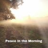 Download track Peace In The Morning (Full)