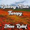 Download track Stress Relief, Sleep, Meditation, Study, Calming Vibes