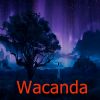 Download track Wacanda (Instrumental)