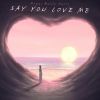 Download track Say You Love Me (Instrumental)