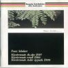 Download track Piano Sonata No. 20 In A Major, D. 959, 2. Andantino