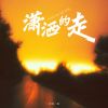 Download track 潇洒的走