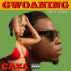 Download track Gwoaning