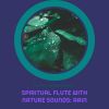 Download track Spiritual Flute With Nature Sounds: Rain