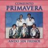 Download track Ando Sin Frenos