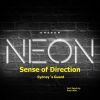 Download track Sense Of Direction