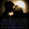 Download track Whenever You'Re Not (Radio Edit)