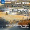 Download track 02. Záboj, Slavoj A Luděk, Op. 37