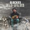 Download track Wild Wolves