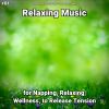 Download track Relaxation Music Pt. 3