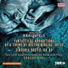 Download track Sinfonia Brevis In F Minor, Op. 69: II. Adagio, Ma Non Troppo