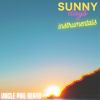 Download track Sunny Days