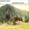 Download track Qonağe Sey Rıza