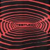 Download track Testudo